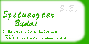 szilveszter budai business card